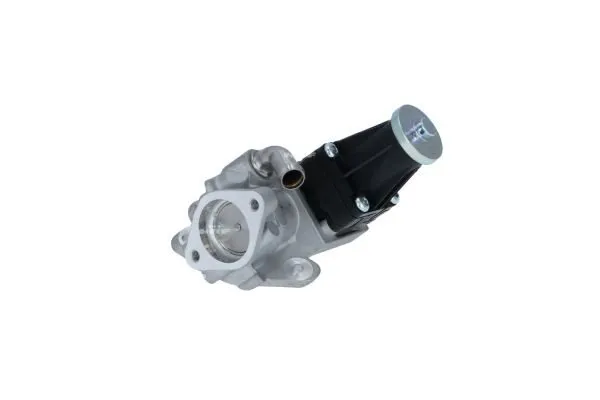 zawor-egr-48356-nrf