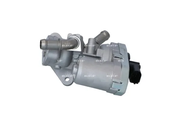 zawor-egr-48376-nrf