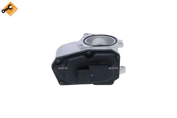 zawor-egr-48389-nrf