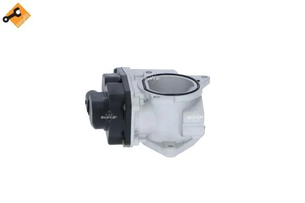 zawor-egr-48389-nrf