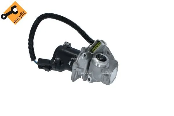 zawor-egr-48385-nrf