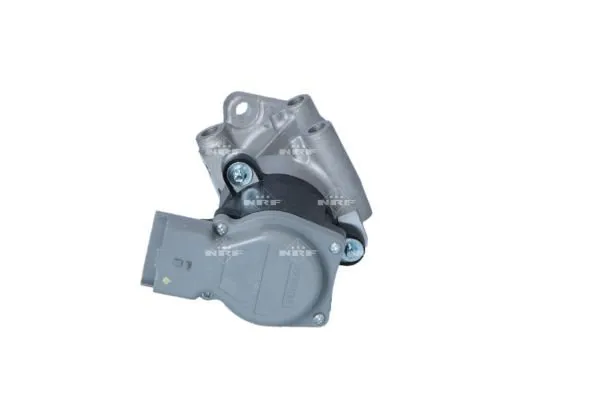 zawor-egr-48603-nrf
