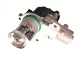 zawor-egr-48606-nrf