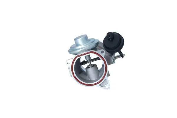 zawor-egr-48621-nrf