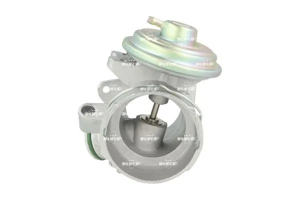 zawor-egr-48636-nrf