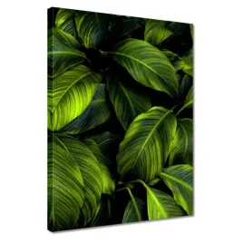 obrazy-30x40-piekne-zielone-liscie