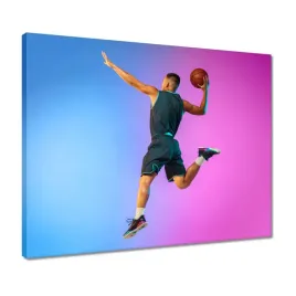 obrazy-50x40-proba-wsadu-w-koszykowce
