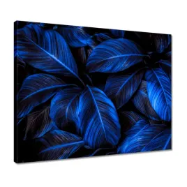 obrazy-50x40-niebieskie-liscie