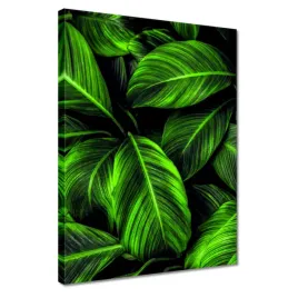 obrazy-30x40-zielone-liscie