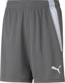 spodenki-dla-dzieci-puma-teamliga-shorts-jr-smoked-szare-704931-rozm-140cm