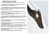 poduszka-50x60-z-gryka-kod-produktu-pg50a