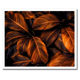 plakaty-w-ramie-50x40-pomaranczowe-liscie