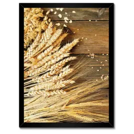 plakaty-w-ramie-30x40-rozne-lany-zboza-na-deskach