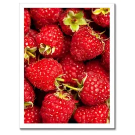 plakaty-w-ramie-30x40-soczyste-i-slodkie-dojrzale-maliny