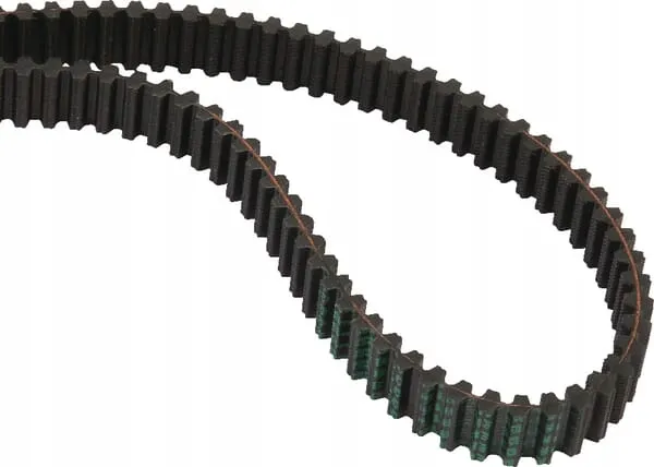 pas-zebaty-m150718-stan-nowy