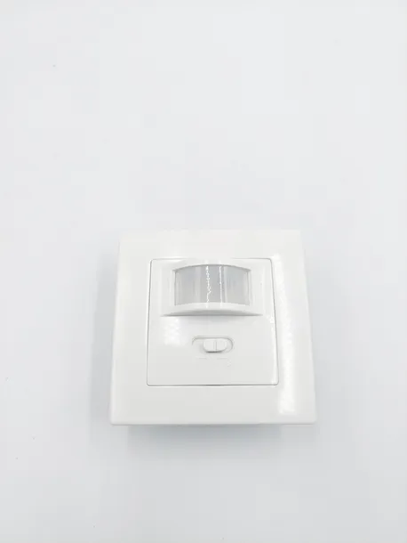 detektor-ruchu-chilitec-21251-rodzaj-ruchu