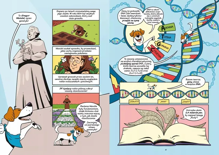 psy-od-drapieznikow-do-obroncow-stan-opakowania-oryginalne