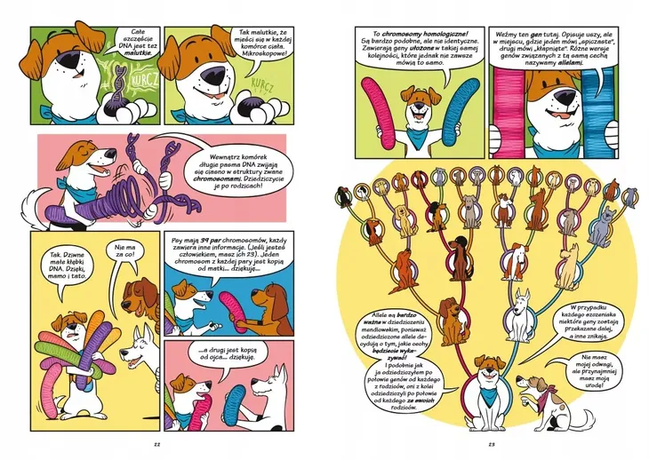 psy-od-drapieznikow-do-obroncow-jezyk-polski