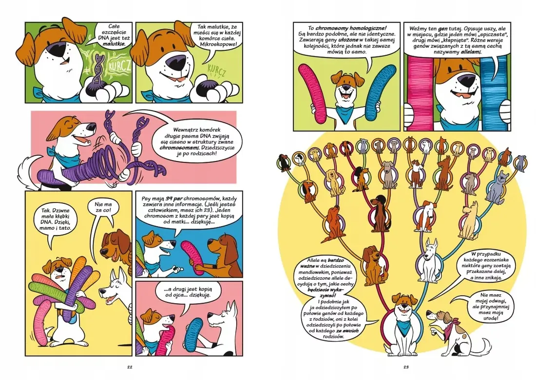 psy-od-drapieznikow-do-obroncow-stan-nowy