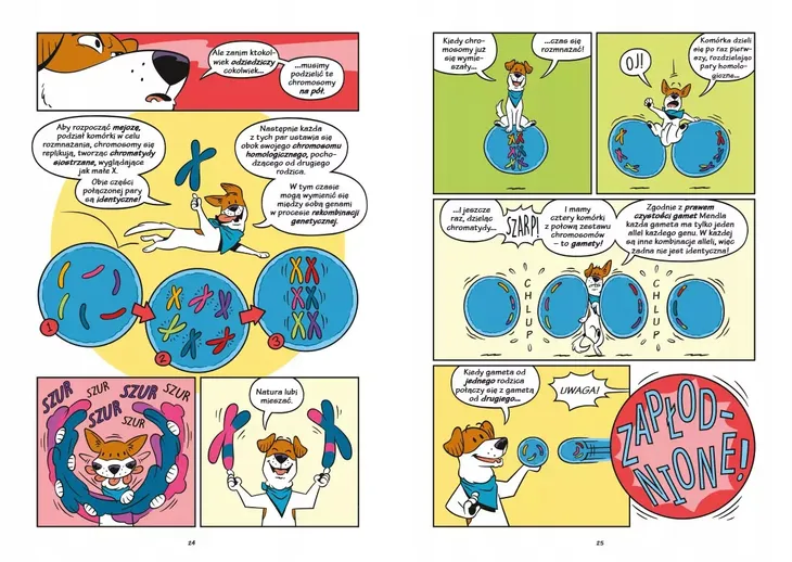 psy-od-drapieznikow-do-obroncow-przedzial-wiekowy-dla-dzieci-z-klas-iv-vi-10-12-lat