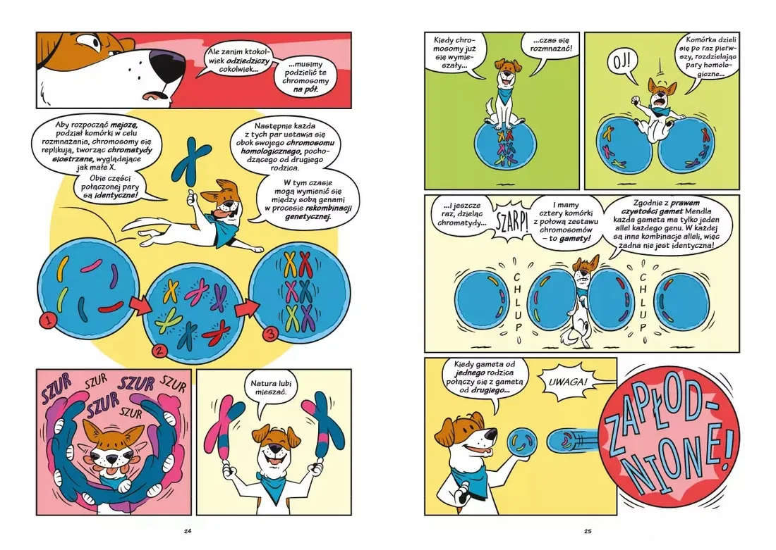 psy-od-drapieznikow-do-obroncow