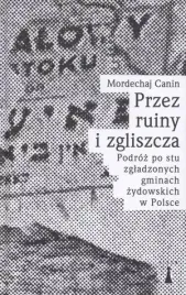 przez-ruiny-i-zgliszcza