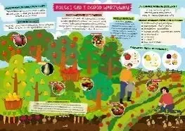 podkladka-dwustronna-na-biurko-b3-sad-i-ogrod-warzywny