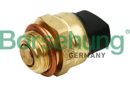 wlacznik-wentylatora-vw-b13131-borsehung