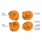 piersi-wydanie-2-stan-opakowania-oryginalne