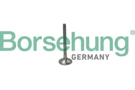 zawor-wyd-vw-14-19tdi-99-a-b19012-borsehung