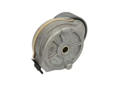 napinacz-paska-wieloklinowego-t38694-gts