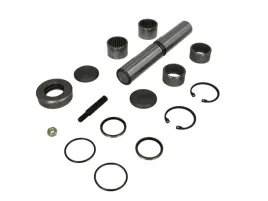 zestaw-naprawczy-sworznia-zwrotnicy-08803-febi