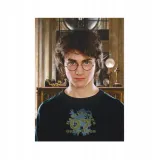 puzzle-hard-m-harry-potter-200576-stan-nowy