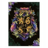 puzzle-medium-xl-hogwart-1000el-200570-waga-z-opakowaniem-1-kg