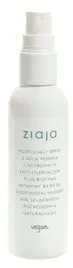 ziaja-modelujacy-spray-do-wlosow-90ml