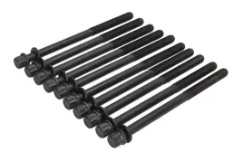 zestaw-srub-glowicy-cylindrow-81027500-ajusa