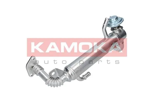 zawor-egr-19073-kao