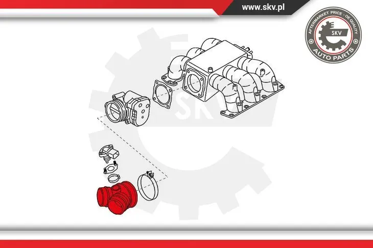 przewod-ssacy-24skv481-skv-typ-samochodu-samochody-osobowe