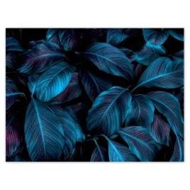 plakaty-40x30-piekne-niebieskie-liscie