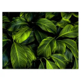 plakaty-40x30-piekne-zielone-liscie