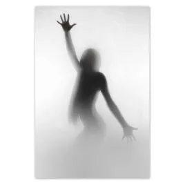 plakaty-40x60-zmyslowy-kobiecy-cien