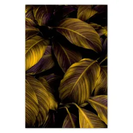 plakaty-40x60-piekne-miodowe-liscie
