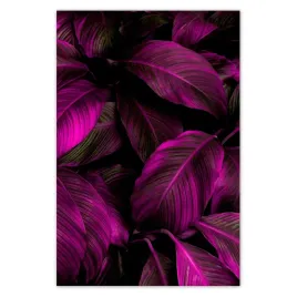 plakaty-80x120-piekne-fuksjowe-liscie