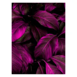 plakaty-30x40-piekne-fuksjowe-liscie