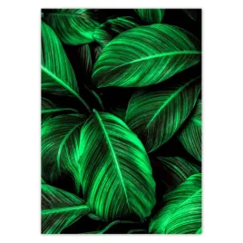 plakaty-50x70-zielone-liscie