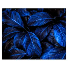 plakaty-50x40-niebieskie-liscie