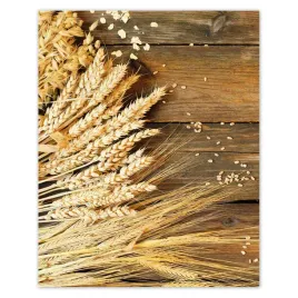 plakaty-40x50-rozne-lany-zboza-na-deskach