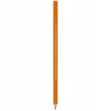 kredki-bic-evolution-color-up-12kol-9157-kod-producenta-950527