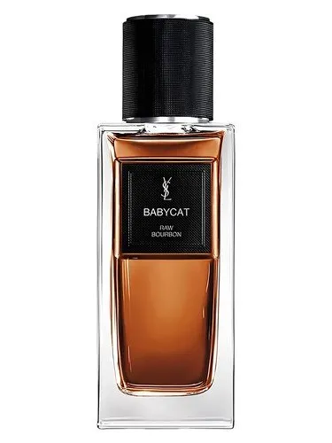yves saint laurent babycat