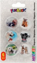 magnesy-do-tabl-szk-30-6-p-kot-4756